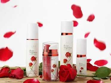 2024年中國(guó)化妝品加盟店品牌排行榜深度解析 機(jī)遇與選擇